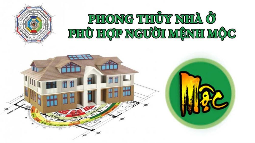 Tư vấn phong thủy nhà ở cho người mệnh Mộc