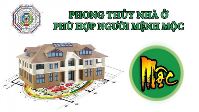 Tư vấn phong thủy nhà ở cho người mệnh Mộc